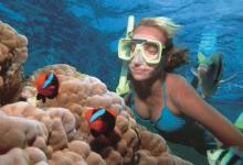¿Qué son los arrecifes de coral?