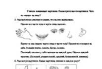 Lezione sullo sviluppo del linguaggio “Parti del corpo” (gruppo preparatorio) Avanzamento delle attività educative dirette